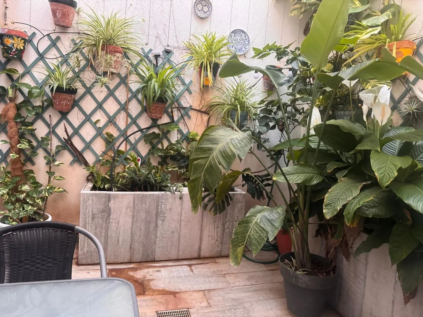 Beach Loft Tabaiba 0*,